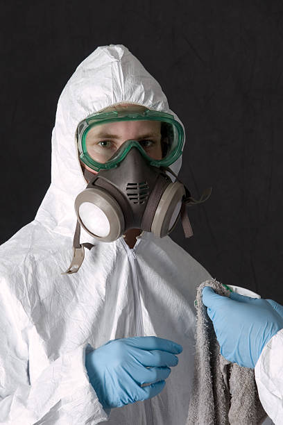 Best Post-Remediation Verification Testing  in New Prague, MN